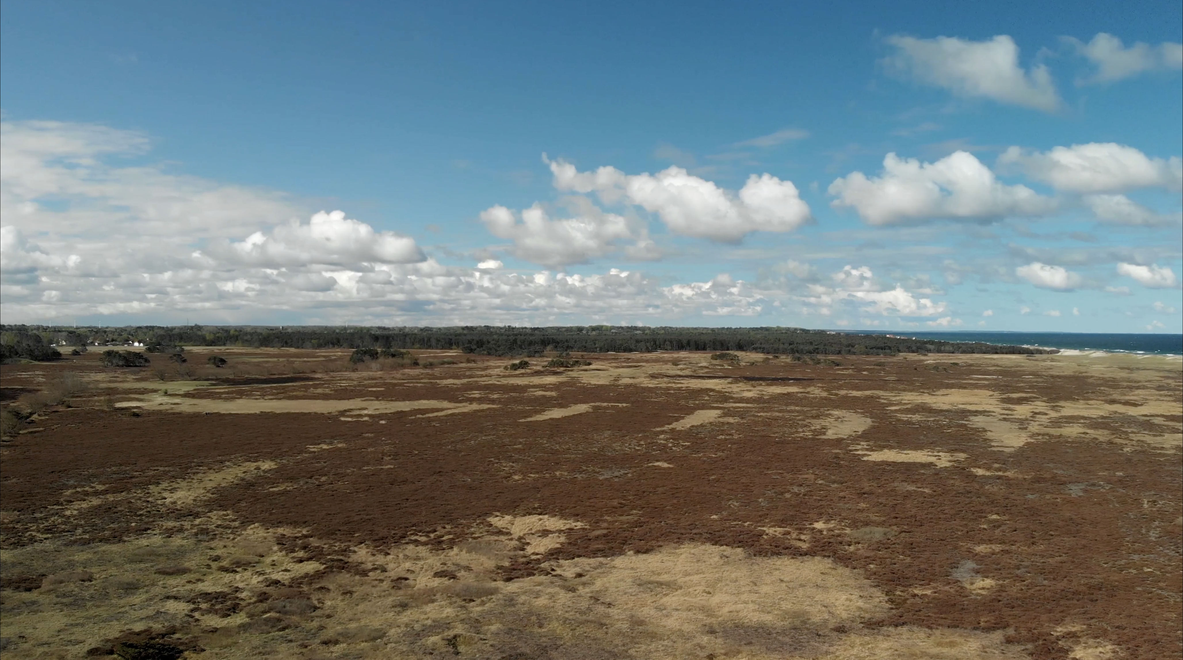 SAYSKY image 4